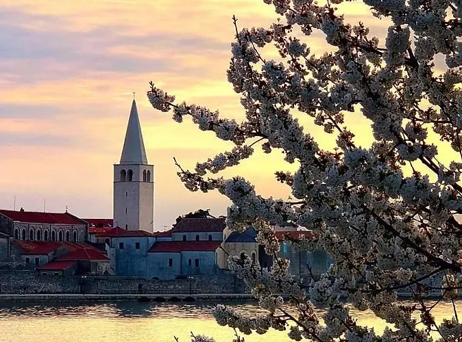 아파트 Perla Deluxe