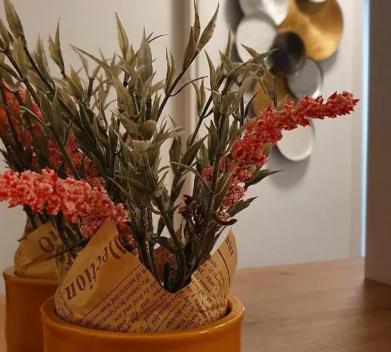 Perla Deluxe * Poreč